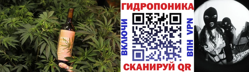 MEGA сайт Альметьевск Canna-Cookies марихуана
