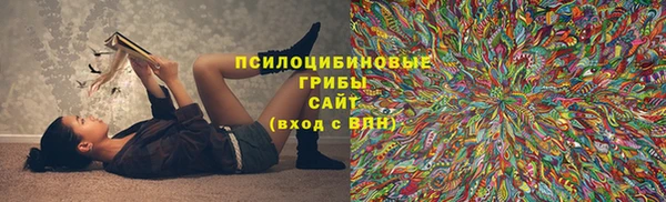 СК Абаза
